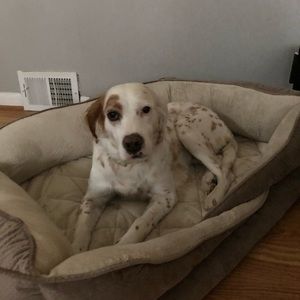 Meet your Posher, Mike